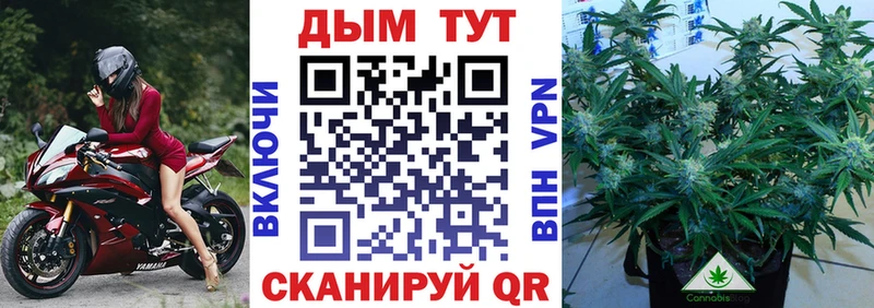 где продают   Славянск-на-Кубани  Конопля MAZAR 